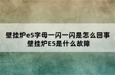 壁挂炉e5字母一闪一闪是怎么回事 壁挂炉E5是什么故障